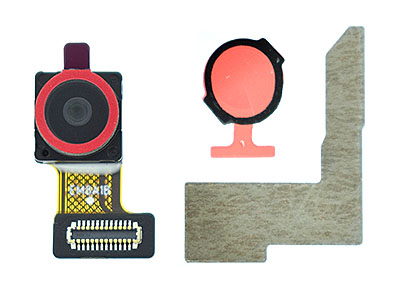 Oppo A5 5G - Modulo Camera Frontale 8MP